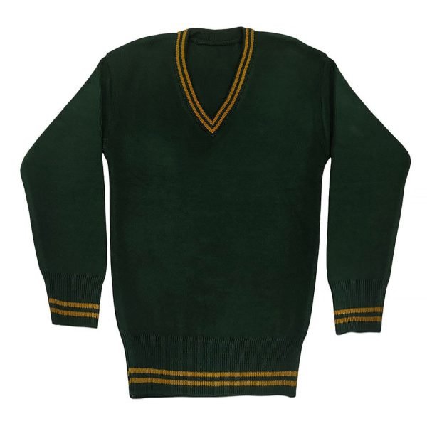 APS School jersey Full Sleeve