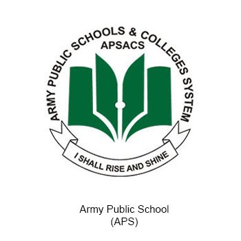 APS 1